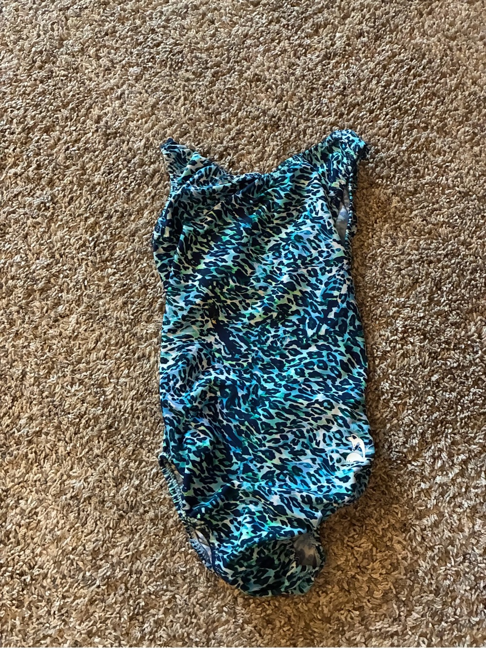 Girls Blue Leopard One-Piece Leotard